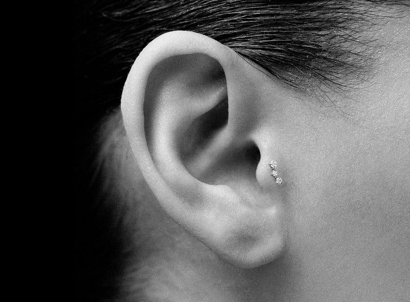 Tragus